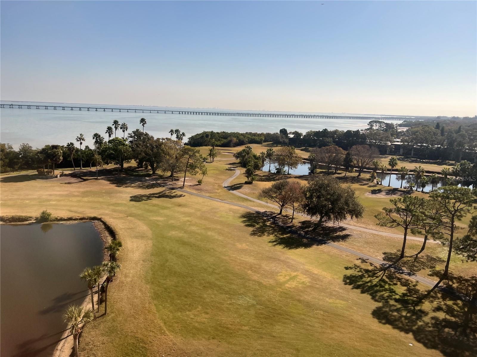 2620 Cove Cay Drive 1003