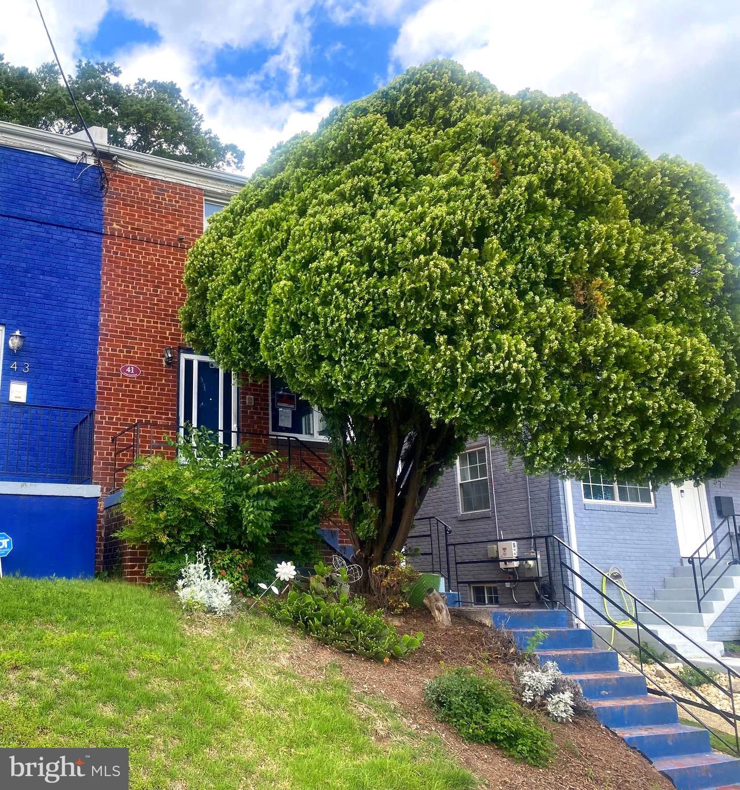 41 Underwood Street Nw