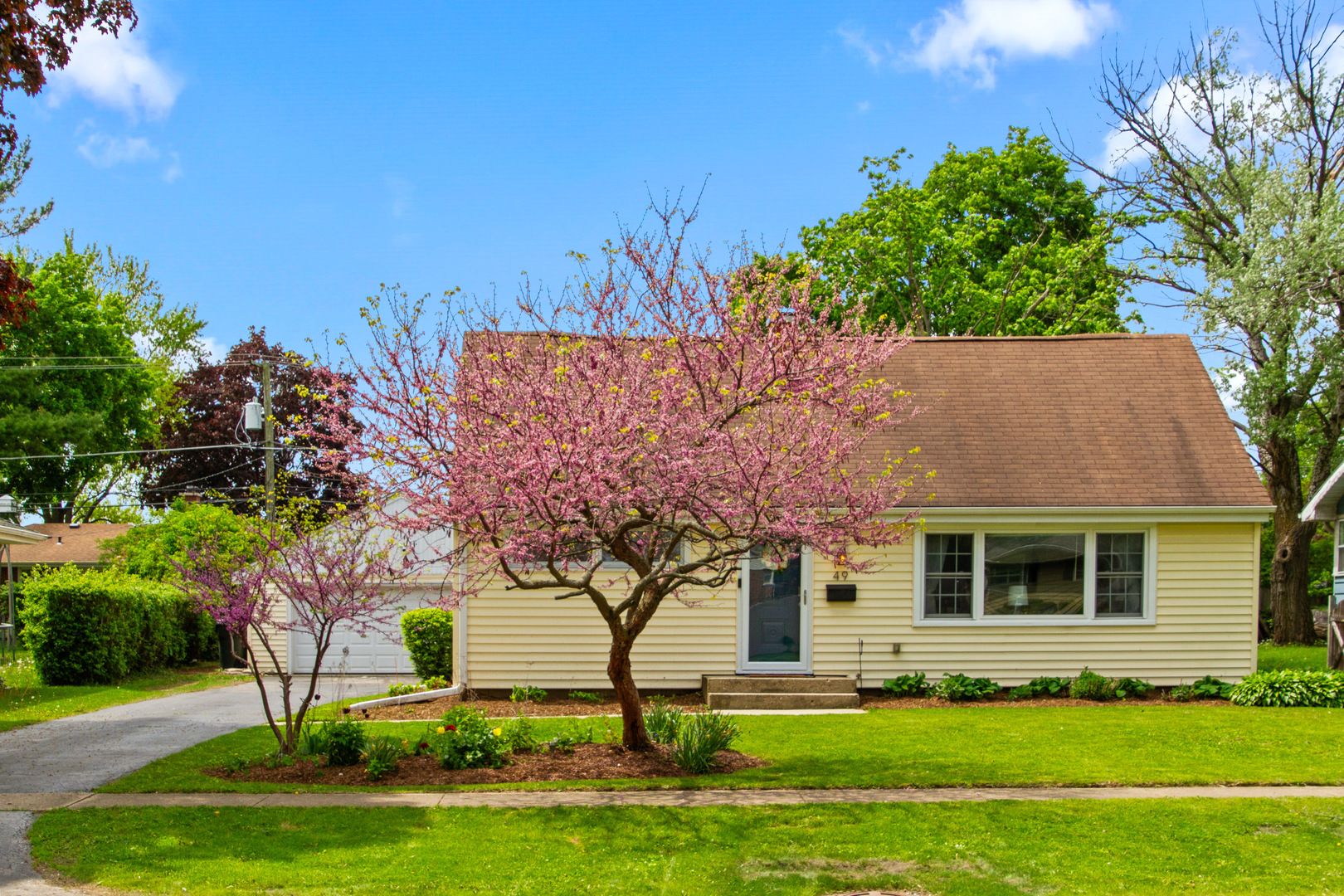 49 Burton Avenue