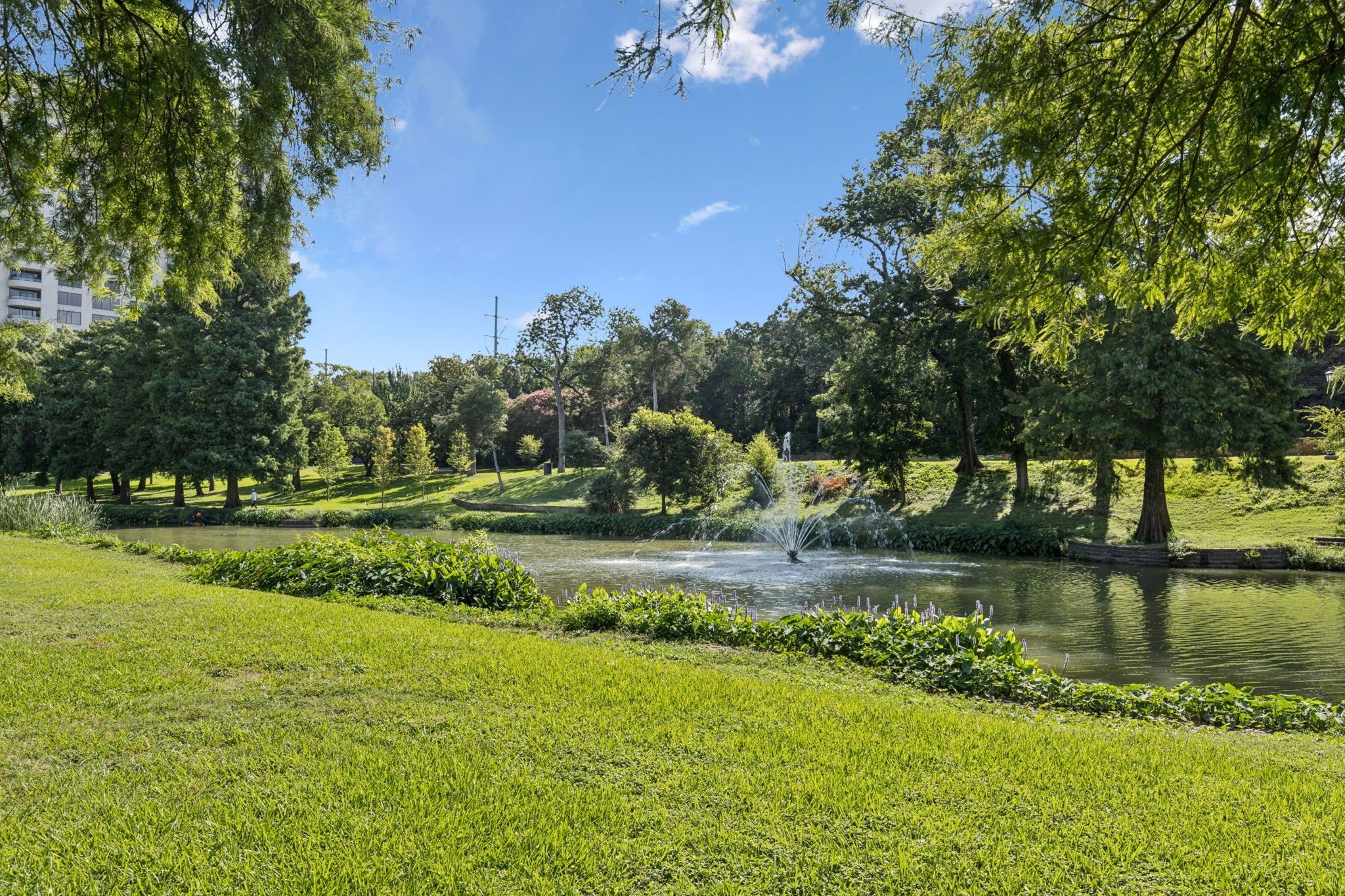 3225 Turtle Creek Boulevard 142